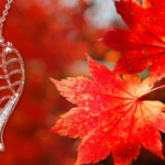 Fall Season Sellers