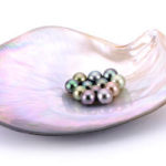 Pearl Gifting
