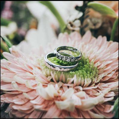 An Image of Two Rings Placed on a Flower