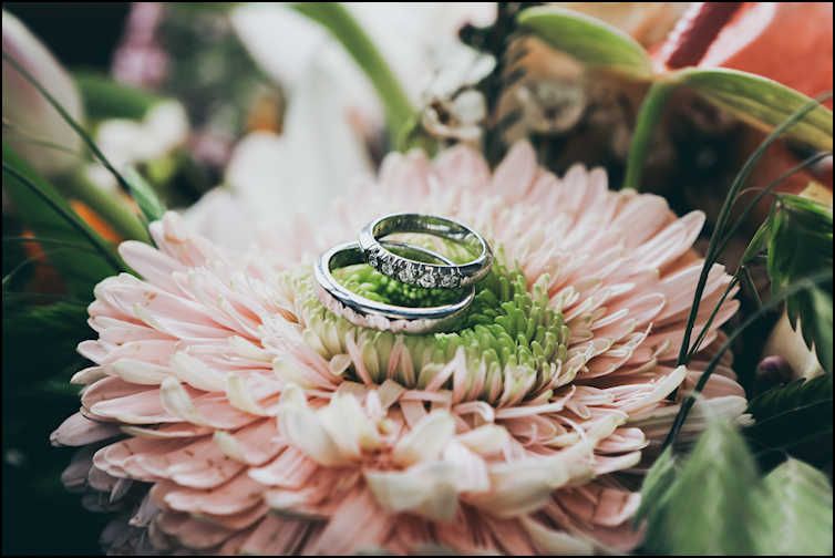 An Image of Two Rings Placed on a Flower 