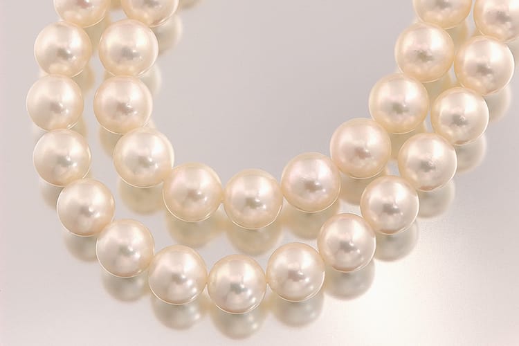 Pearl Oyster With One High Quality 6-7MM Oval Pearl Inside