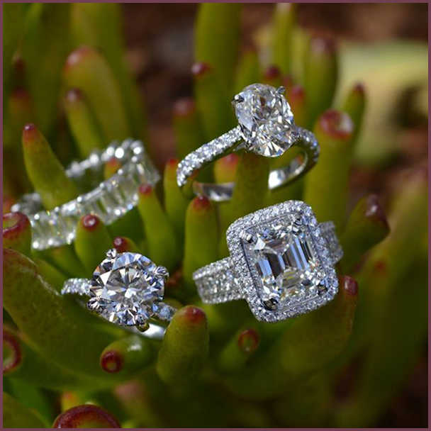 Two Merchandise Categories Create A Significant Retail Opportunity