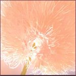 PANTONE’s New Hue