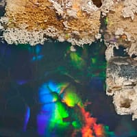 The Fascinating World of Opalized Fossils - The Plumb Club