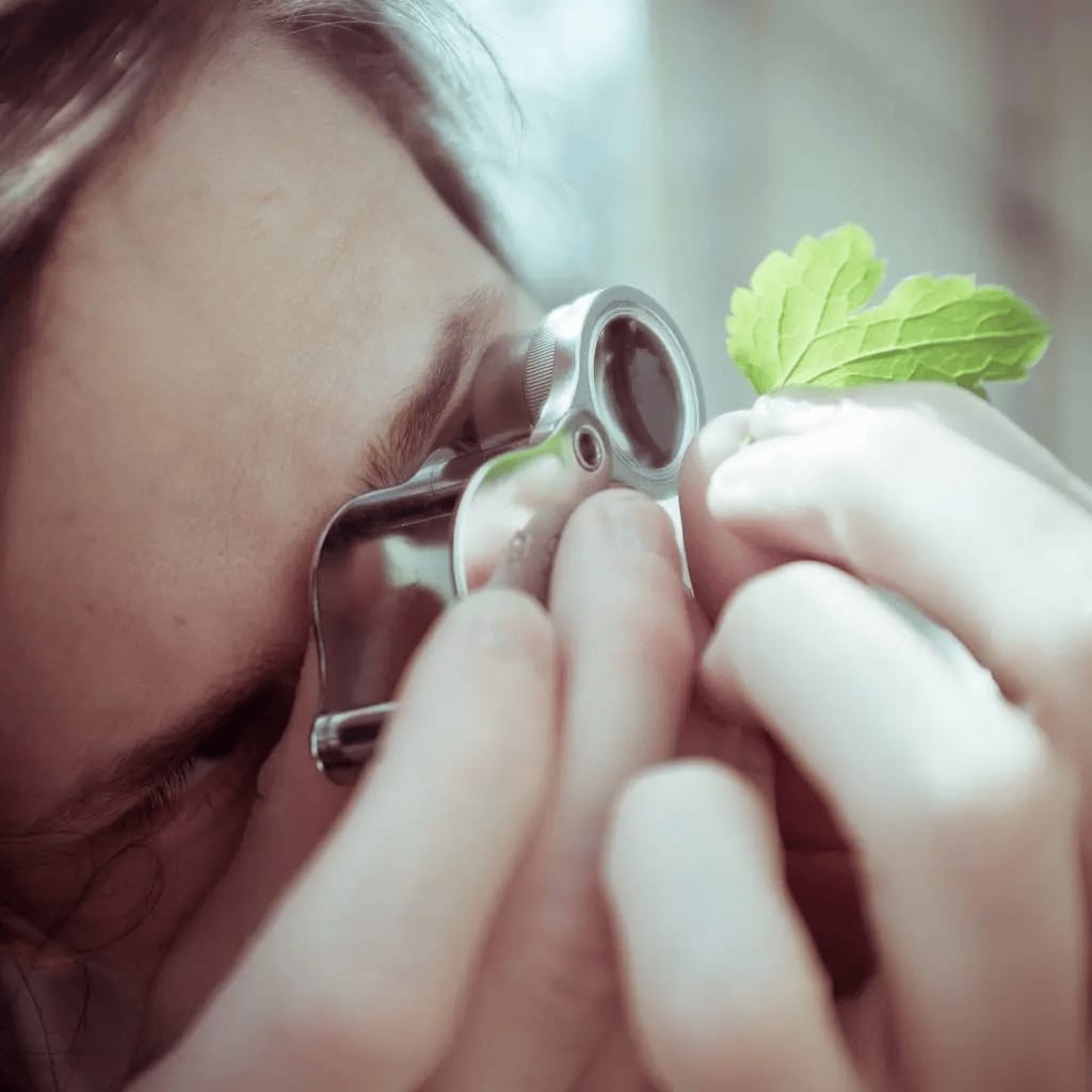 using a loupe