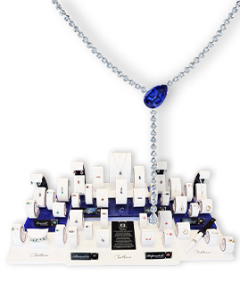 CN1476WBS Jewelry Programs Display