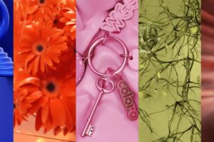 WGSN Chooses Sapphire Shade as 2027 Color of the Year