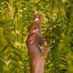 Talking Green! What Can You Really Say in Sustainability Marketing?