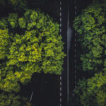 How to Engage Today’s Consumer and Add Business Value through Sustainability