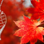 Fall Season Sellers