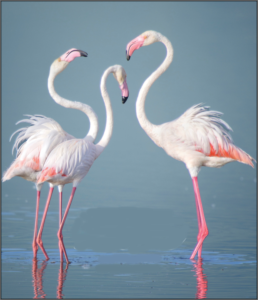 Responsible Jewelry Council Launches First-Ever Global Retail Campaign for Members